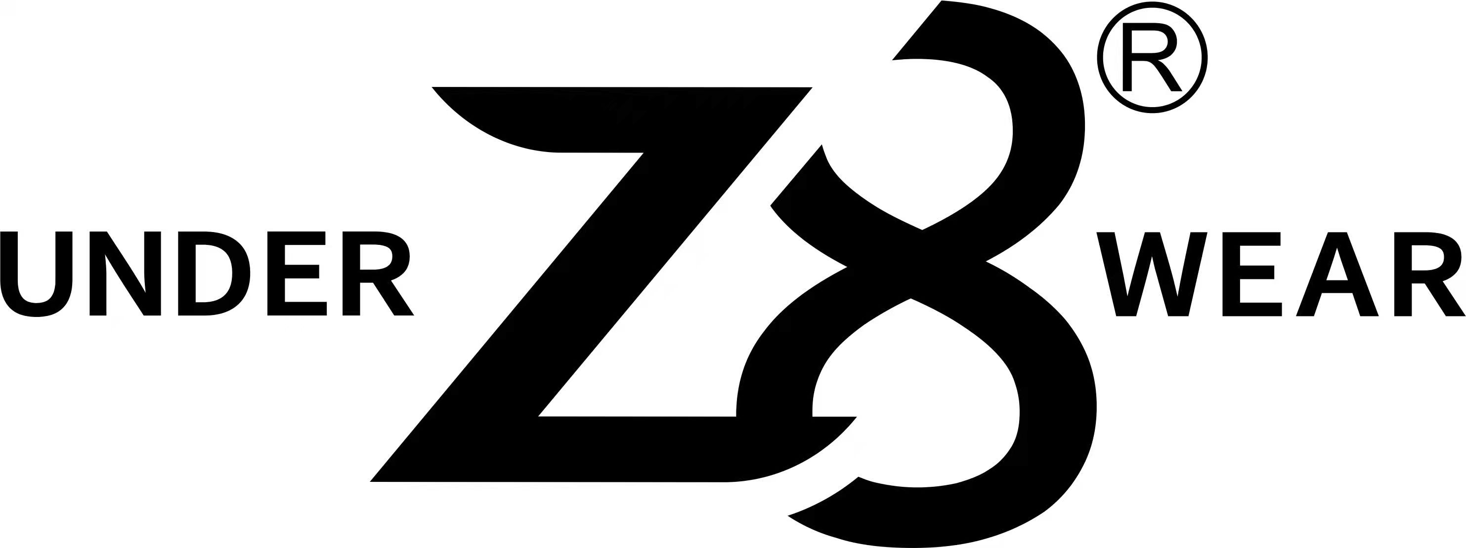 Z8 logo